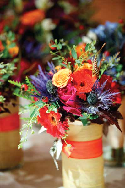 image--005